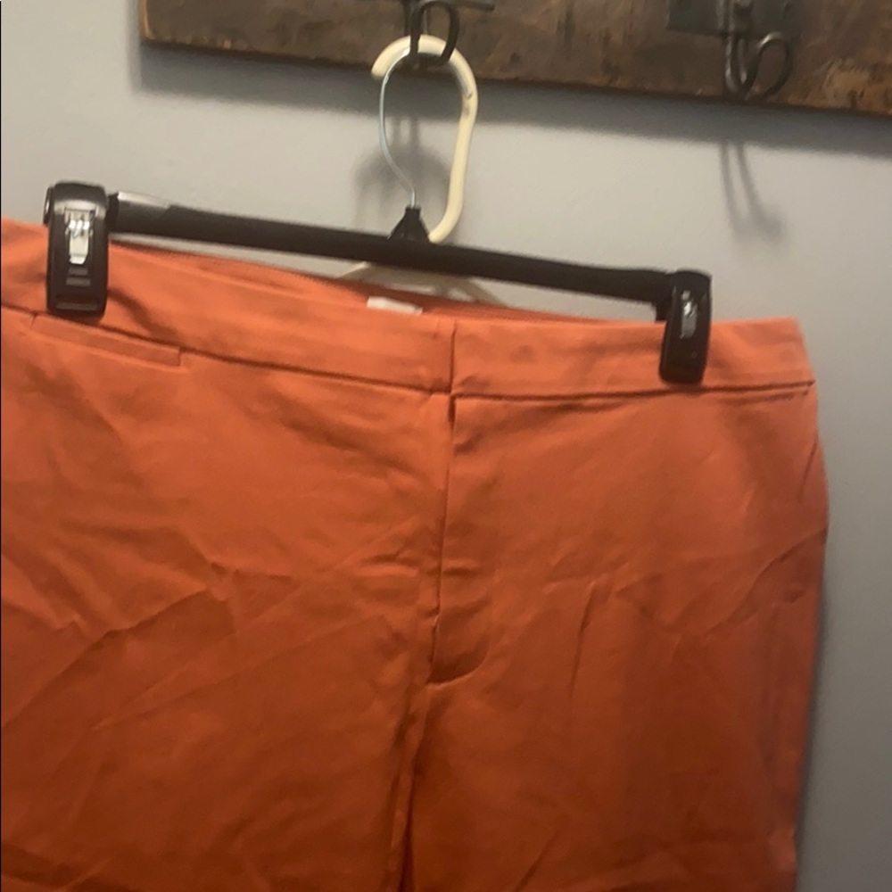 Women’s dress  pants